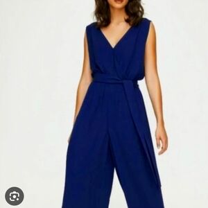 Blue Babaton Maximilian Jumpsuit